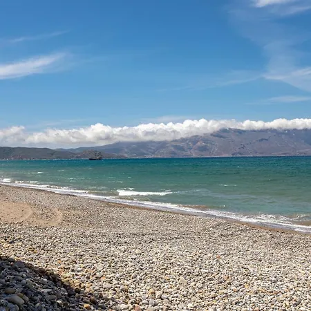 Gold Crest In Drapanias Beach, Nopigia *